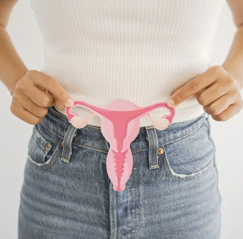 Woman holding illustration of female reproductive system showing uterus and ovaries